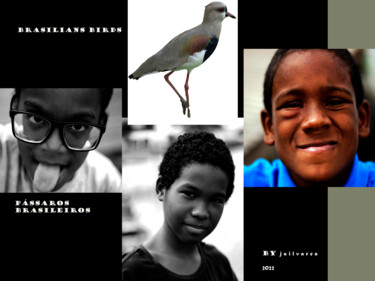 Fotografia intitulada "Brazilian birds" por Jose Americo Jsilvares, Obras de arte originais, Fotografia digital