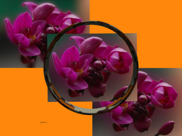 Fotografie mit dem Titel "vista floral" von Jose Americo Jsilvares, Original-Kunstwerk, Manipulierte Fotografie