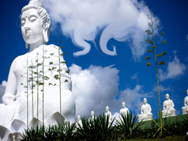 Fotografia intitolato "Sidarta Gautama, Bu…" da Jose Americo Jsilvares, Opera d'arte originale, Fotografia digitale