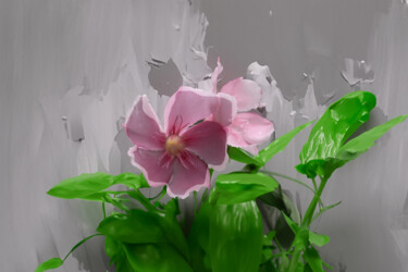 Fotografie mit dem Titel "floral b" von Jose Americo Jsilvares, Original-Kunstwerk, Manipulierte Fotografie