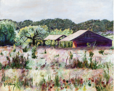 Peinture intitulée "Palo Pinto Prairie" par J S Ellington, Œuvre d'art originale, Acrylique