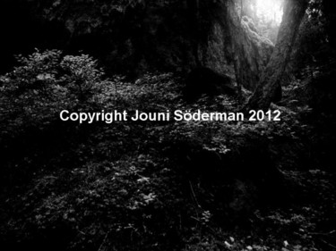 Photography titled "So beautiful is sil…" by Jouni Soderman, Original Artwork