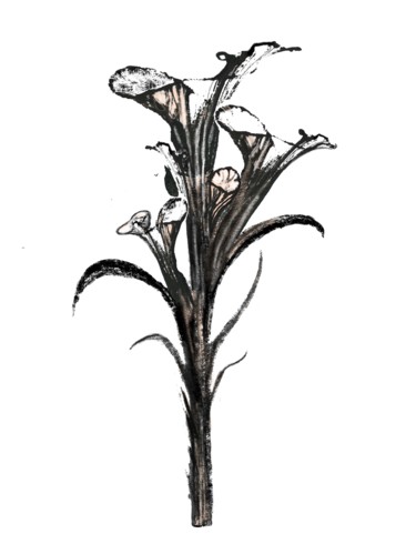 Pintura titulada "Black Orchid" por Almanzart, Obra de arte original, Acrílico