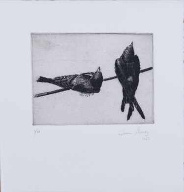 Prenten & gravures getiteld "Swallows" door Juan Álvarez Cebrián, Origineel Kunstwerk, Ets