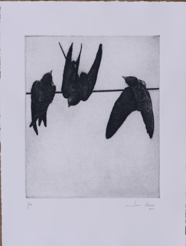제목이 "Swallows I"인 판화 Juan Álvarez Cebrián로, 원작, 에칭