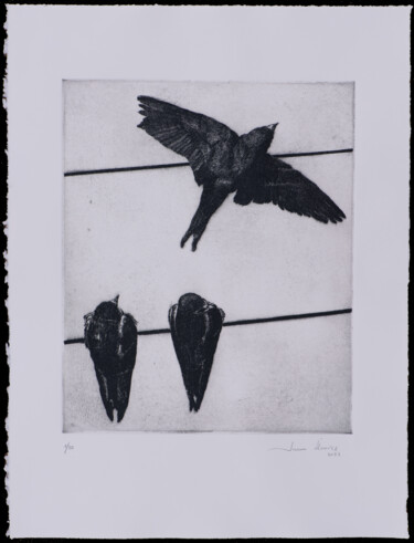 Gravures & estampes intitulée "Swallows II" par Juan Álvarez Cebrián, Œuvre d'art originale, Eau-forte