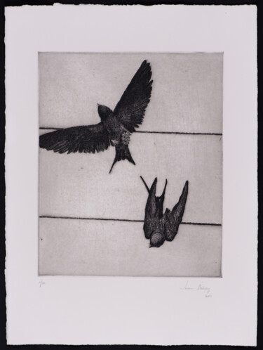 Gravures & estampes intitulée "Swallows III" par Juan Álvarez Cebrián, Œuvre d'art originale, Eau-forte