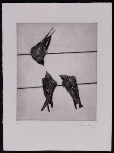 Prenten & gravures getiteld "Swallows IV" door Juan Álvarez Cebrián, Origineel Kunstwerk, Ets