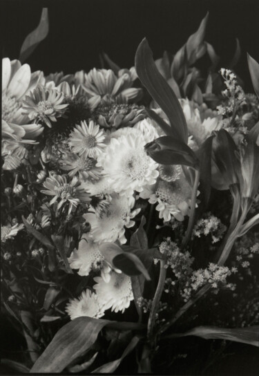 Bouquet of flowers Fotografie getiteld "Bouquet of flowers" door Juan Carlos Franco Toriz, Origineel Kunstwerk, Film fotografie