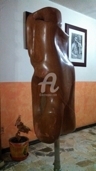 Sculpture intitulée "sin titulo" par Juan Rojas, Œuvre d'art originale