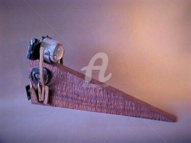 Skulptur mit dem Titel "FOTO" von Juan Rojas, Original-Kunstwerk, Holz
