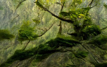 Digital Arts titled "The Wood" by Judith Simonis, Original Artwork, Digital Painting