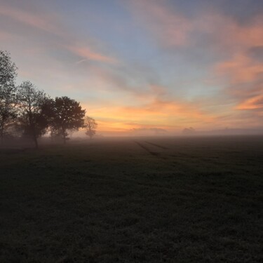 Photography titled "Mist In The Morning" by Judith Simonis, Original Artwork, Non Manipulated Photography