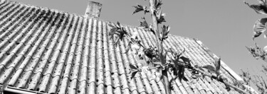 摄影 标题为“Roof” 由Judith Simonis, 原创艺术品, 数码摄影