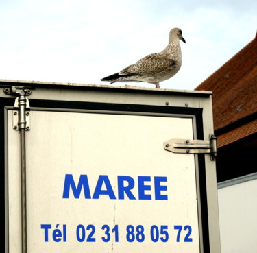 Photography titled "On peut même l'appe…" by Jürgen Briem, Original Artwork