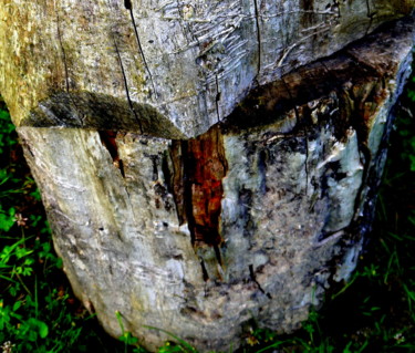 Photographie intitulée "La blessure" par Jürgen Briem, Œuvre d'art originale