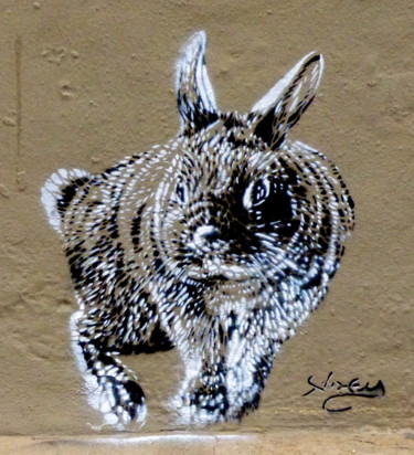 Photographie intitulée "Petit lapin" par Jürgen Briem, Œuvre d'art originale