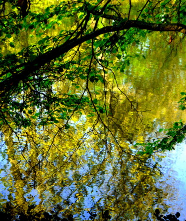 Photography titled "Chez les Caillebott…" by Jürgen Briem, Original Artwork