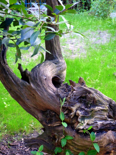 Photography titled "La mort d'une danse…" by Jürgen Briem, Original Artwork