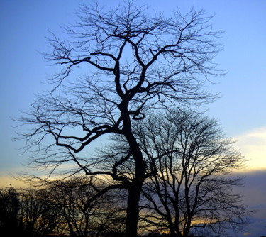 Photography titled "Mais oui, - ils dan…" by Jürgen Briem, Original Artwork