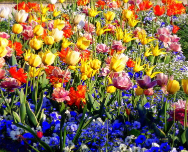 Photographie intitulée "Tulipes, - pas des…" par Jürgen Briem, Œuvre d'art originale, Photographie numérique