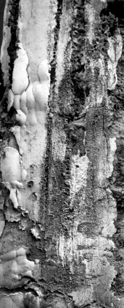 Série "Tout se transforme en art" - 1 Photographie intitulée "Série "Tout se tran…" par Jürgen Briem, Œuvre d'art originale