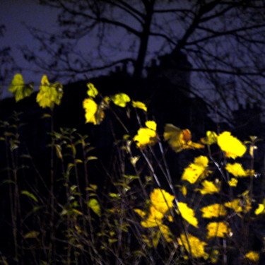 Fotografie mit dem Titel "Novembre, 18 heures" von Jürgen Briem, Original-Kunstwerk