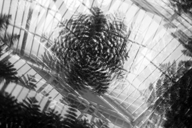 Tropical Zone Hamburg Photographie intitulée "Tropical Zone Hambu…" par Juergen Straub, Œuvre d'art originale, Photographie argentique