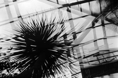Tropical Zone Hamburg 2 Photographie intitulée "Tropical Zone Hambu…" par Juergen Straub, Œuvre d'art originale, Photographie argentique