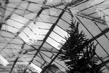 Tropical Zone Hamburg 3 Photographie intitulée "Tropical Zone Hambu…" par Juergen Straub, Œuvre d'art originale, Photographie argentique