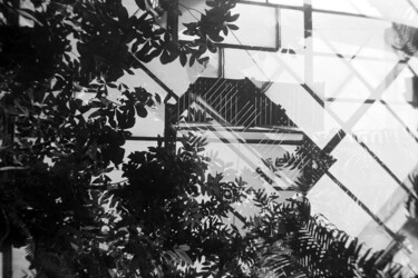 Fotografia intitulada "Tropical Zone Hambu…" por Juergen Straub, Obras de arte originais, Fotografia de filme