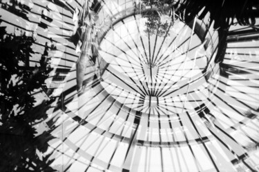 Tropical Zone Amsterdam Photography titled "Tropical Zone Amste…" by Juergen Straub, Original Art, Analog photography