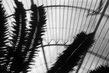 Photographie intitulée "Tropical Zone Londo…" par Juergen Straub, Œuvre d'art originale, Photographie argentique