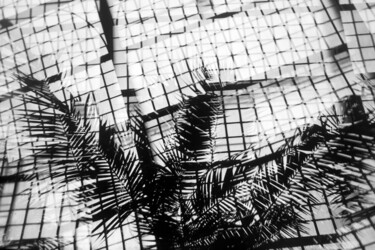Fotografía titulada "Tropical Zone Frank…" por Juergen Straub, Obra de arte original, Fotografía analógica