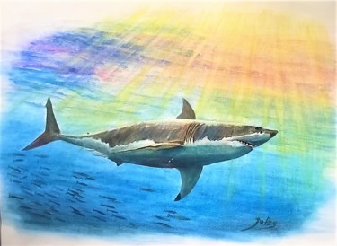 Painting titled "Carcharodon carchar…" by Julien Delente (Jules), Original Artwork, Watercolor