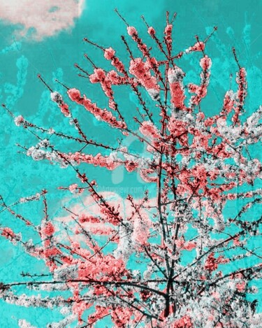 Digitale Kunst getiteld "Cerisier" door Julferas, Origineel Kunstwerk, 2D Digital Work