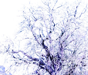 Fotografie mit dem Titel "Baum" von Julianna Dávid, Original-Kunstwerk, Manipulierte Fotografie