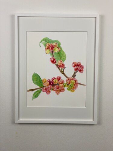 Schilderij getiteld "Coffee berry ripeni…" door Julia Birst, Origineel Kunstwerk, Aquarel