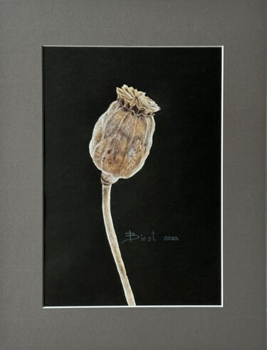 Peinture intitulée "Dry box of poppy se…" par Julia Birst, Œuvre d'art originale, Aquarelle