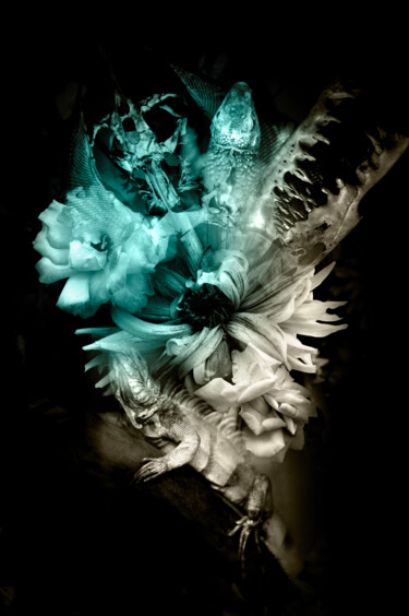Les maux corporels#16 Arts numériques intitulée "Les maux corporels#…" par Julia Saludo, Œuvre d'art originale, Photo montage