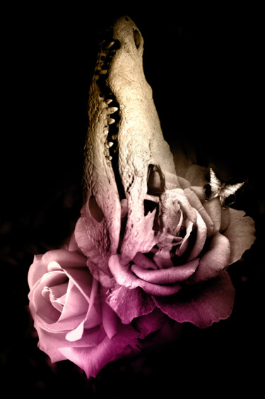Les maux corporels#17 Arts numériques intitulée "Les maux corporels#…" par Julia Saludo, Œuvre d'art originale, Photo montage