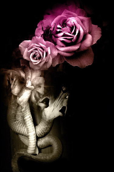 Les maux corporels#18 Arts numériques intitulée "Les maux corporels#…" par Julia Saludo, Œuvre d'art originale, Photo montage