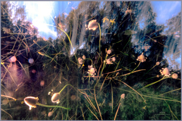 Photography titled "Photosynthesis" by Julian Garcia-Viso, Original Artwork, Digital Photography