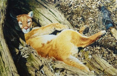 Malerei mit dem Titel "Pumas' Siesta" von Julian Wheat, Original-Kunstwerk, Acryl