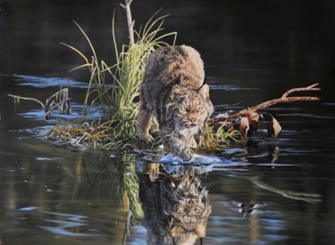 Schilderij getiteld "Lynx à l'affût" door Julian Wheat, Origineel Kunstwerk, Acryl