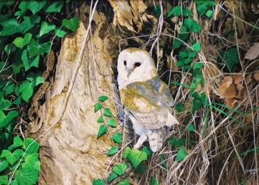 Peinture intitulée "Barn Owl soirée" par Julian Wheat, Œuvre d'art originale, Acrylique