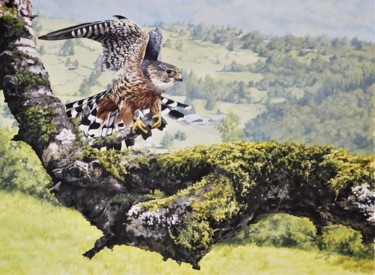 Malerei mit dem Titel "European Merlin" von Julian Wheat, Original-Kunstwerk, Acryl
