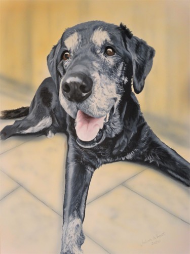 Painting titled "Dignified Black Lab…" by Julian Wheat, Original Artwork, Acrylic