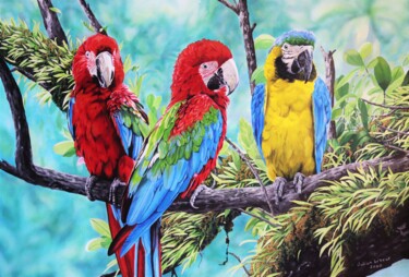 Картина под названием "Scarlet Macaws and…" - Julian Wheat, Подлинное произведение искусства, Акрил