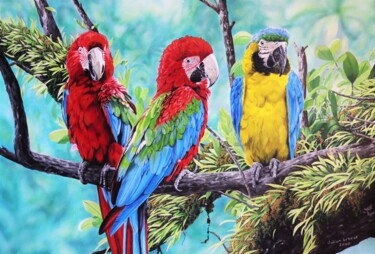 Painting titled "Scarlet Macaws and…" by Julian Wheat, Original Artwork, Acrylic